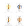 Mesoestetic® Proteoglycans Ampoules (10 Vials x 2ml Per Pack) thumbnail